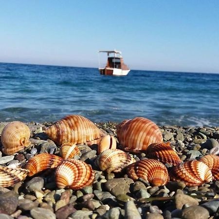 Κατοικία Πανόραμα, Πραγματευτή Λεωνιδίου, Τ.Κ.22300 Leonídion Exterior foto