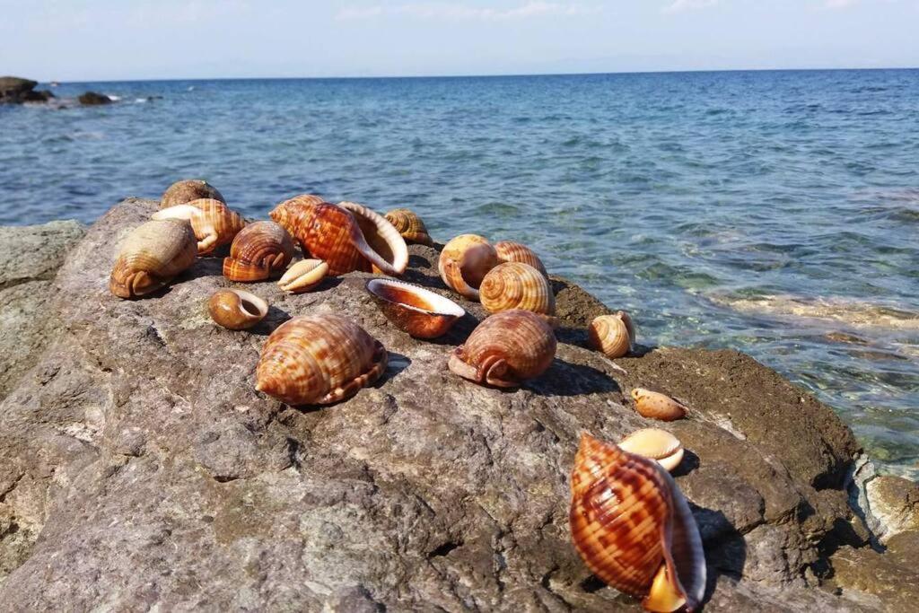 Κατοικία Πανόραμα, Πραγματευτή Λεωνιδίου, Τ.Κ.22300 Leonídion Exterior foto